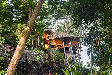 Tree house at Habitation Getz, Vieux-Habitants, Basse-Terre, Guadeloupe, overseas region of France,Leewards Islands, Lesser Antilles, Caribbean