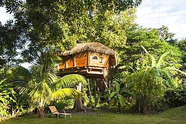 Tree house at Habitation Getz, Vieux-Habitants, Basse-Terre, Guadeloupe, overseas region of France,Leewards Islands, Lesser Antilles, Caribbean