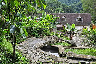 'Habitation La Griveliere', former coffee and cocoa plantation, nowadays an ecomuseum, Vieux-Habitants, Basse-Terre, Guadeloupe, overseas region of France,Leewards Islands, Lesser Antilles, Caribbean