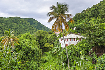 Grande Riviere Valley, Vieux-Habitants, Basse-Terre, Guadeloupe, overseas region of France,Leewards Islands, Lesser Antilles, Caribbean