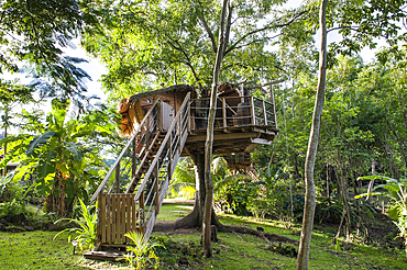 Tree house at Habitation Getz, Vieux-Habitants, Basse-Terre, Guadeloupe, overseas region of France,Leewards Islands, Lesser Antilles, Caribbean