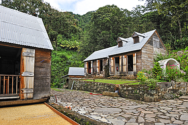 'Habitation La Griveliere', former coffee and cocoa plantation, nowadays an ecomuseum, Vieux-Habitants, Basse-Terre, Guadeloupe, overseas region of France,Leewards Islands, Lesser Antilles, Caribbean