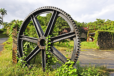 Former sugar factory of County overtaken by vegetation, Sainte-Rose, Basse-Terre, Guadeloupe, overseas region of France,Leewards Islands, Lesser Antilles, Caribbean