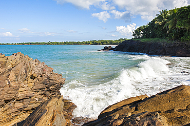 Cove of Clugny, between Deshaies and Sainte-Rose, Basse-Terre, Guadeloupe, overseas region of France,Leewards Islands, Lesser Antilles, Caribbean