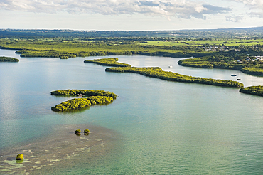 Aerial view of mangrove swamp, Grand Cul-de-sac Marin, Sainte-Rose, Basse-Terre, Guadeloupe, overseas region of France,Leewards Islands, Lesser Antilles, Caribbean