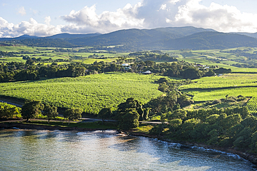 Aerial view of the coast between Plessis-Nogent and Sainte-Rose, Grand Cul-de-sac Marin, Sainte-Rose, Basse-Terre, Guadeloupe, overseas region of France,Leewards Islands, Lesser Antilles, Caribbean