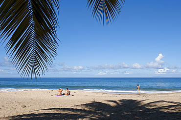 Grande Anse beach, Deshaies, Basse-Terre, Guadeloupe, overseas region of France,Leewards Islands, Lesser Antilles, Caribbean