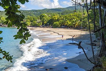 Leroux beach, between Deshaies and Pointe-Noire, Basse-Terre, Guadeloupe, overseas region of France,Leewards Islands, Lesser Antilles, Caribbean