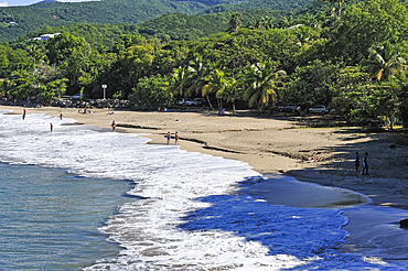 Plage Leroux, entre Deshaies et Pointe-Noire, Basse-Terre, Guadeloupe, region mono-departementale d'outre-mer francaise, Petites Antilles, Mer des Caraibes, Ocean Atlantique Nord//Leroux beach, between Deshaies and Pointe-Noire, Basse-Terre, Guadeloupe, o