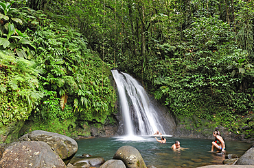 Cascade aux Ecrevisses (Crayfish Waterfall), Route de la Traversee (Crossing Road), Basse-Terre, Guadeloupe, overseas region of France,Leewards Islands, Lesser Antilles, Caribbean