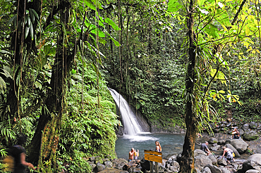 Cascade aux Ecrevisses (Crayfish Waterfall), Route de la Traversee (Crossing Road), Basse-Terre, Guadeloupe, overseas region of France,Leewards Islands, Lesser Antilles, Caribbean