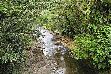 River in the National Park, Basse-Terre, Guadeloupe, overseas region of France,Leewards Islands, Lesser Antilles, Caribbean