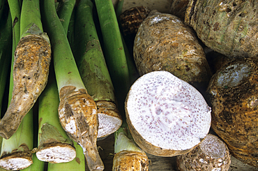 Taro corms (Colocasia esculenta) for sale at a market, Reunion island, Overseas departement of France, Indian Ocean