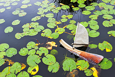 Toy boat in a pond of the national conservatory and botanical garden of Mascarin. Saint-Leu. Reunion island,overseas departement of France,Indian Ocean