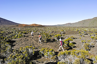 randonneurs a l'interieur de la caldeira appellee Enclos Fouque.Massif du Piton de la Fournaise.Ile de la Reunion,Departement francais d'Outre-mer,Ocean Indien//hikers inside the caldera named Enclos Fouque.Piton de la Fournaise.Reunion island,overseas de