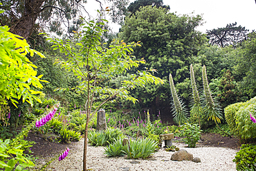 Valley Garden on Herm Island, Bailiwick of Guernsey, United Kingdom