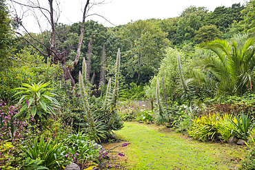 Valley Garden on Herm Island, Bailiwick of Guernsey, United Kingdom