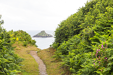 Trail on the west coast with Jethou Island in the distance, Herm Island, Bailiwick of Guernsey, United Kingdom