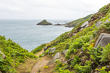 Trail on the west coast with Jethou Island in the distance, Herm Island, Bailiwick of Guernsey, United Kingdom