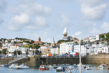 St Peter Port harbour, Guernsey Island, Bailiwick of Guernsey, United Kingdom