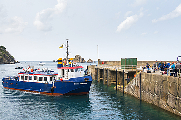 Ferry boat arriving, from Guernsey, at Maseline Harbour, Sark island, Channel Islands, Bailiwick of Guernsey, United Kingdom