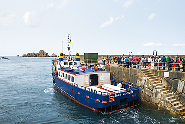 Ferry boat arriving, from Guernsey, at Maseline Harbour, Sark island, Channel Islands, Bailiwick of Guernsey, United Kingdom