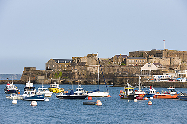 Fishing boats in the harbour with Castle Cornet in the background, St Peter Port harbour, Guernsey Island, Bailiwick of Guernsey, United Kingdom