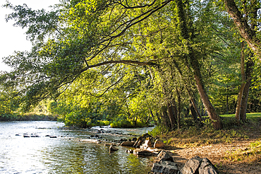 Sioule River,Allier department,Auvergne region,France,Europe