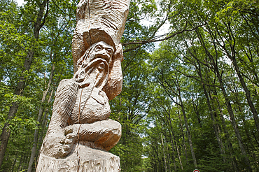 'Les Atlantes' sculpture on trunk (Douglas tree) by Antoine Halbwachs & Christophe Vehruny in the Forest of Troncais (Forêt de Tronçais), Allier department, Auvergne-Rhone-Alpes region, France, Europe