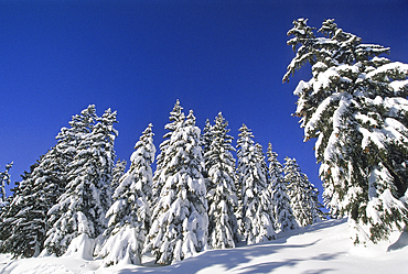 Areches ski resort, commune of Beaufort-sur-Doron, Savoie department, Rhone-Alpes region, France, Europe