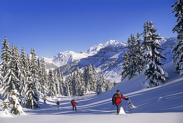Ski touring at Areches, commune of Beaufort-sur-Doron, Savoie department, Rhone-Alpes region, France, Europe
