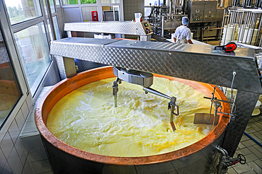 Cheesemaking factory of Semnoz at Gruffy,Haute-Savoie department, Rhone-Alpes region, France, Europe