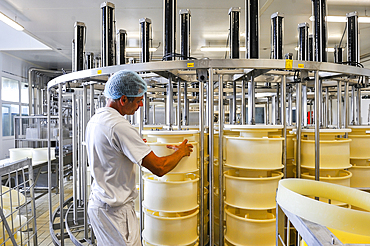 Cheesemaking factory of Semnoz at Gruffy,Haute-Savoie department, Rhone-Alpes region, France, Europe