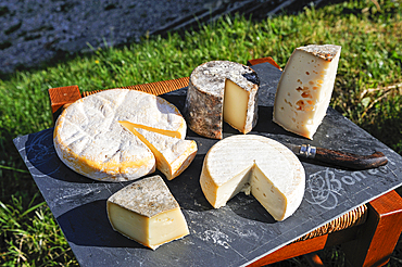 Assorted PDO cheese of Savoie, cheese-making farm of Brunet family,Semnoz Mountain in the Bauges range,Haute-Savoie department, Rhone-Alpes region, France, Europe