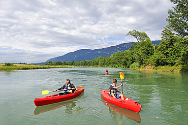 canoeing on a section of Vieux Rhone River near Motz in Chautagne region,Savoie, Rhone-Alpes region, France, Europe