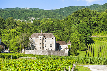 Manor in vineyards near Ruffieux, Chautagne region, Lake Bourget area,Savoie, Rhone-Alpes region, France, Europe