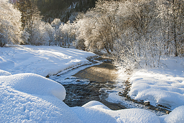Frost over the Dranse d'Abondance river,Haute-Savoie department,Rhone-Alpes region,France,Europe
