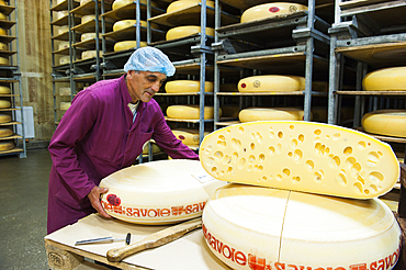Refiner presenting a wheel of cheese, Emmental de Savoie ripening cellar of Chabert cheese factory at Vallieres, Haute-Savoie department, Rhone-Alpes region, France, Europe