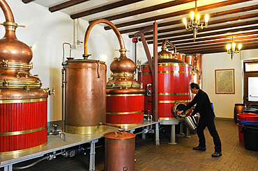 Distillery Pierre Guy,Pontarlier,Doubs departement,Franche-Comte region,France Europe