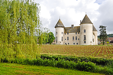 Castle of Savigny-les-Beaune,Cote-d Or department,Burgundy region,France,Europe