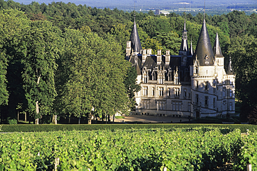 Castle of the wine growing estate Ladoucette,Pouilly-sur-Loire,Nievre department, region of Burgundy, center of France,Europe