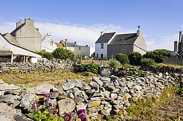 Garden,Ile de Sein,off the coast of Pointe du Raz,Finistere department,Brittany region,west of France,western Europe
