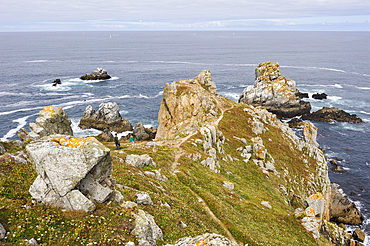 Pointe du Van,Cap Sizun,Finistere department,Brittany region,west of France,western Europe