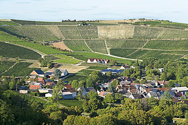 Cirque of Poussie, Vineyard around the village of Bue, Sancerrois natural region, Cher department, Historic province of Berry, Centre-Val de Loire region, France