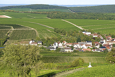 Vignoble autour du village de Bue, Sancerrois, Departement du Cher, Ancienne province du Berry, Region Centre-Val de Loire, France//Vineyard around the village of Bue, Sancerrois natural region, Cher department, Historic province of Berry, Centre-Val de L