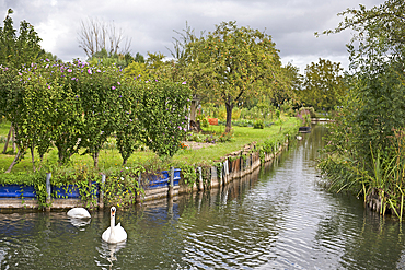 Marshes of the Yèvre and Voiselle, Bourges, Cher department, Province of Berry, Centre-Val de Loire region, France