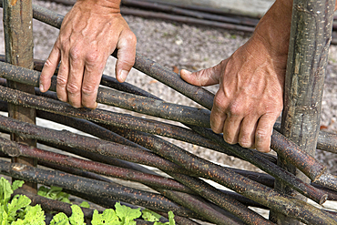 Wattle demonstration by gardeners at the Gardens of the Priory of Our Lady of Orsan (French:Prieure Notre-Dame d'Orsan), Department of Cher, Historic Province of Berry, Centre-Val de Loire region,France