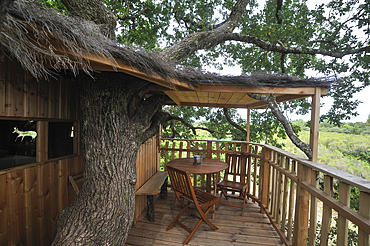 Tree house Chanteclair,Chalais,Indre department,province of Berry,region of Centre,France,Europe
