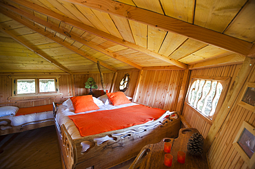 Tree house Chanteclair,Chalais,Indre department,province of Berry,region of Centre,France,Europe