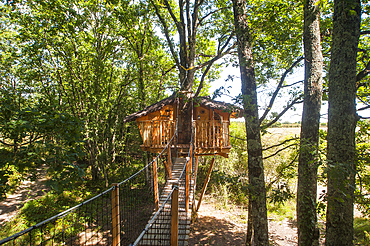 Tree house Chanteclair,Chalais,Indre department,province of Berry,region of Centre,France,Europe